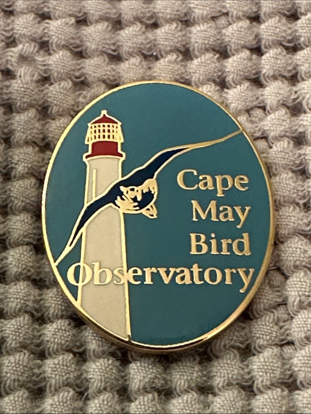 Cape May Bird Observatory Pin